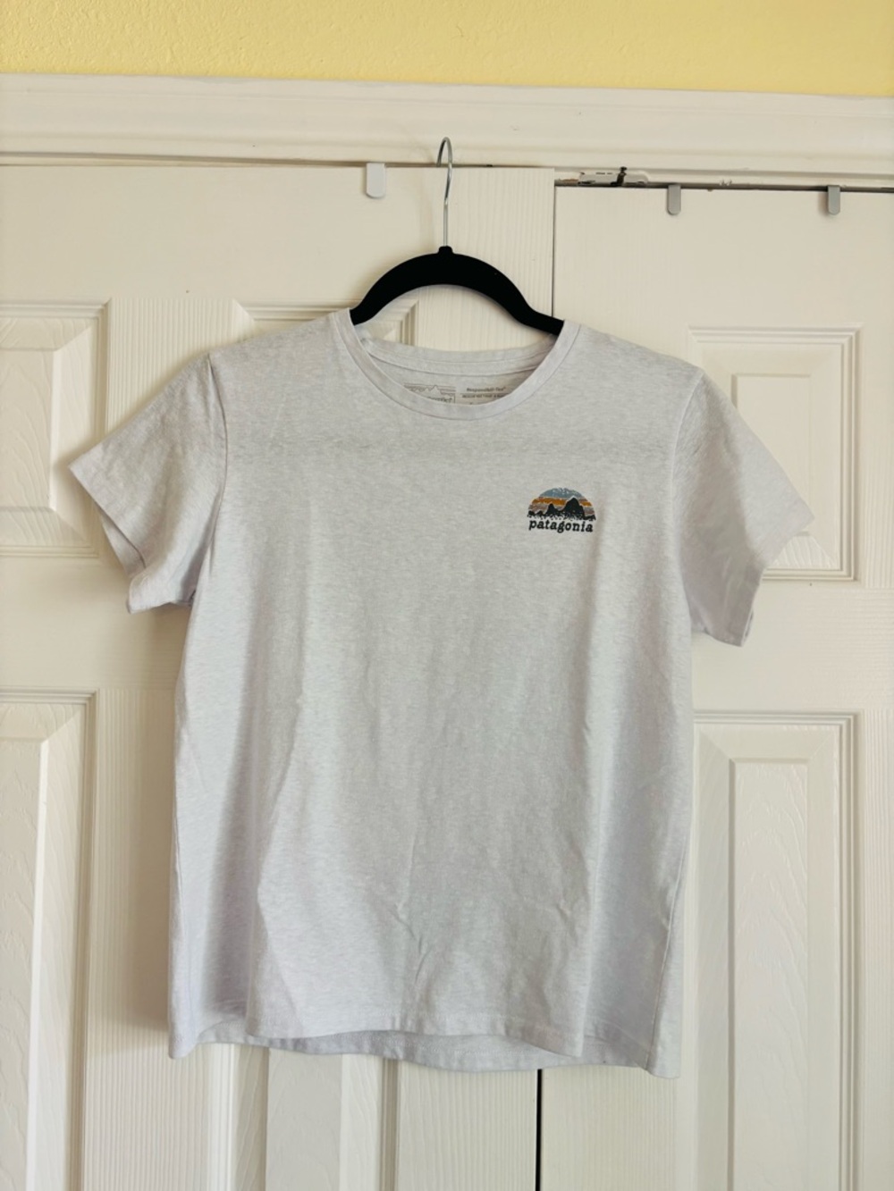 Patagonia Boxy Tee